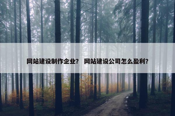 网站建设制作企业？ 网站建设公司怎么盈利？