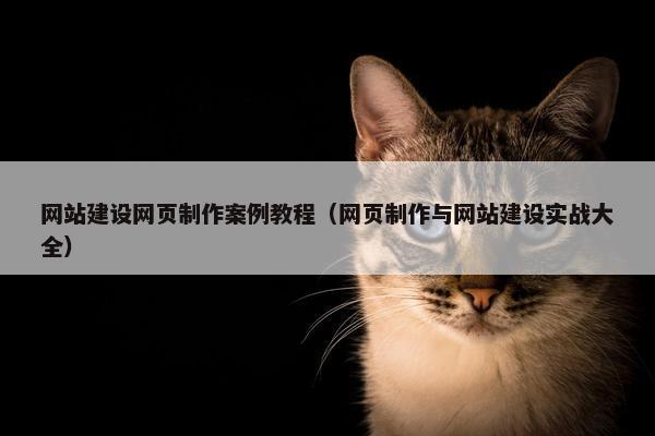 网站建设网页制作案例教程（网页制作与网站建设实战大全）