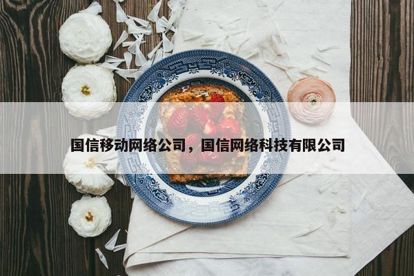 国信移动网络公司，国信网络科技有限公司