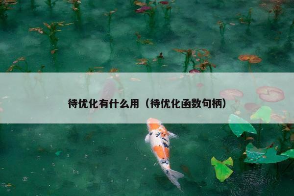 待优化有什么用（待优化函数句柄）