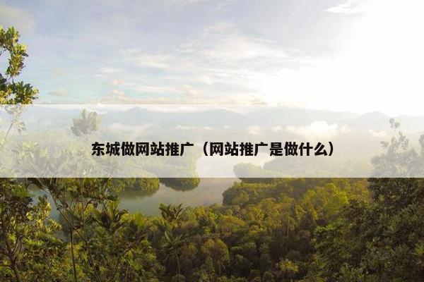 东城做网站推广（网站推广是做什么）