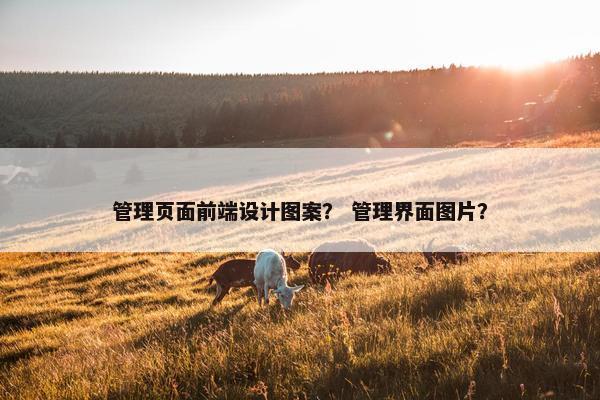 管理页面前端设计图案？ 管理界面图片？
