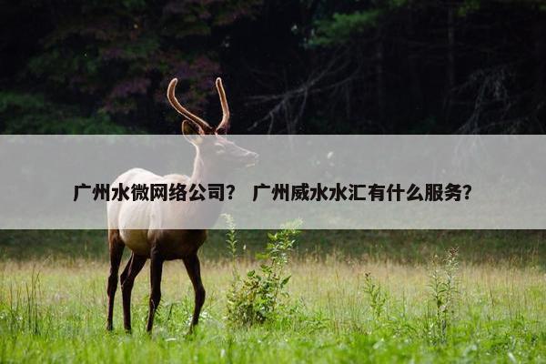 广州水微网络公司？ 广州威水水汇有什么服务？