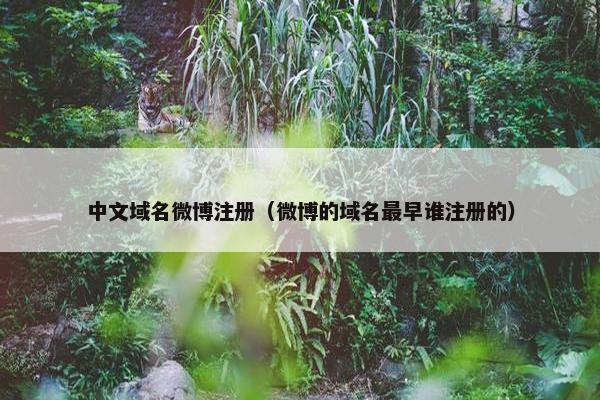中文域名微博注册（微博的域名最早谁注册的）