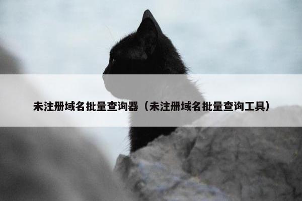 未注册域名批量查询器（未注册域名批量查询工具）