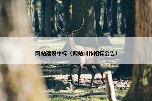 网站建设中标（网站制作招标公告）
