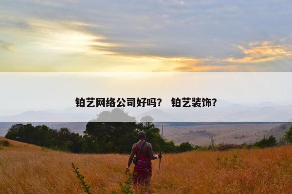 铂艺网络公司好吗？ 铂艺装饰？