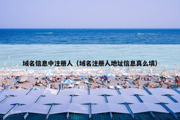 域名信息中注册人（域名注册人地址信息真么填）