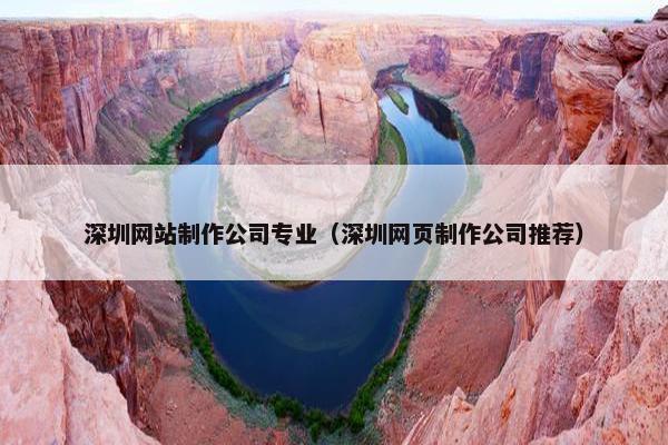 深圳网站制作公司专业（深圳网页制作公司推荐）