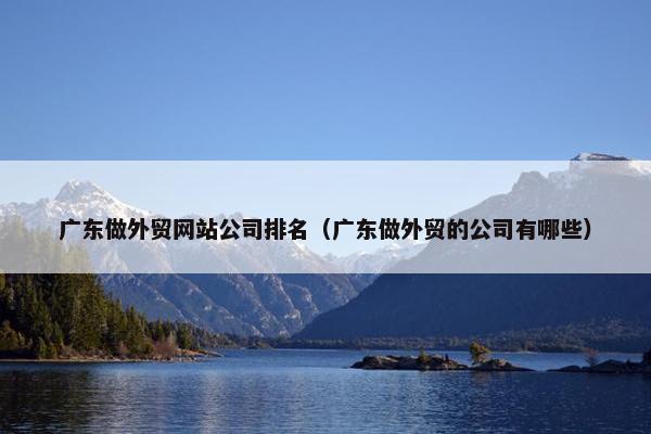 广东做外贸网站公司排名（广东做外贸的公司有哪些）