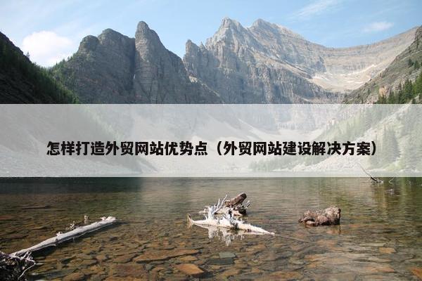 怎样打造外贸网站优势点（外贸网站建设解决方案）
