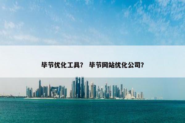 毕节优化工具？ 毕节网站优化公司？