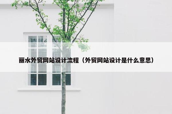 丽水外贸网站设计流程（外贸网站设计是什么意思）