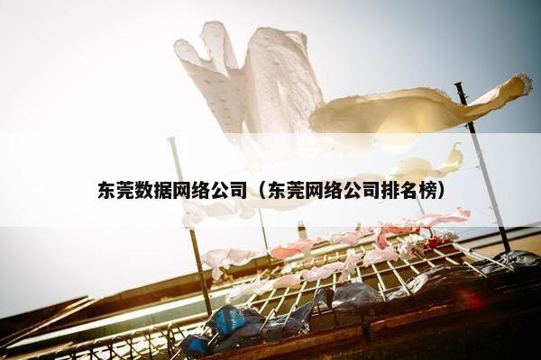 东莞数据网络公司（东莞网络公司排名榜）