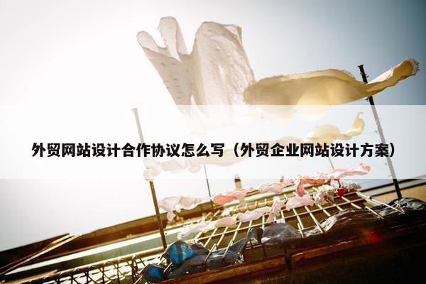外贸网站设计合作协议怎么写（外贸企业网站设计方案）