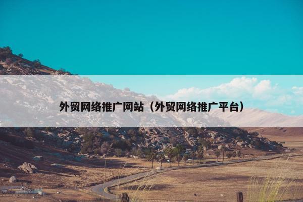 外贸网络推广网站（外贸网络推广平台）