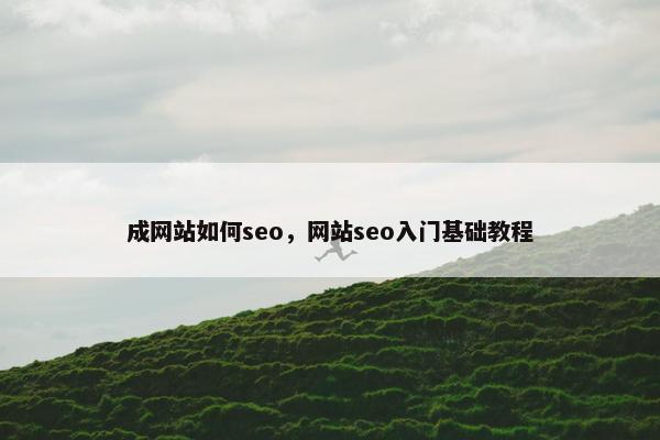 成网站如何seo，网站seo入门基础教程