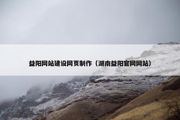 益阳网站建设网页制作（湖南益阳官网网站）