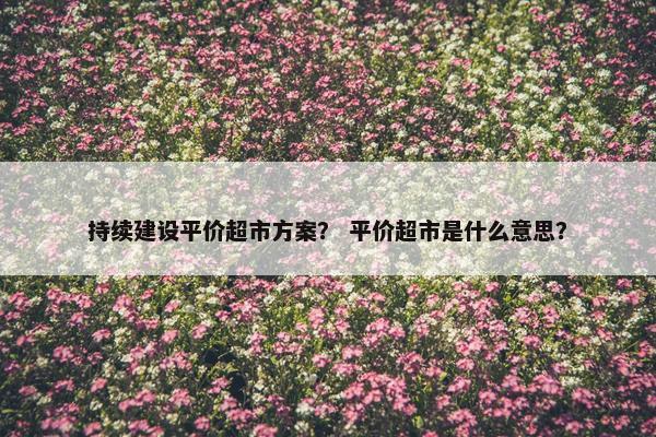 持续建设平价超市方案？ 平价超市是什么意思？