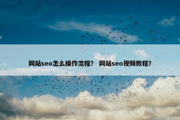 网站seo怎么操作流程？ 网站seo视频教程？