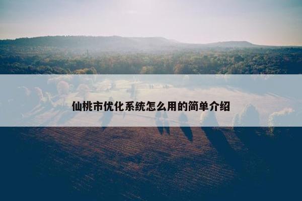 仙桃市优化系统怎么用的简单介绍