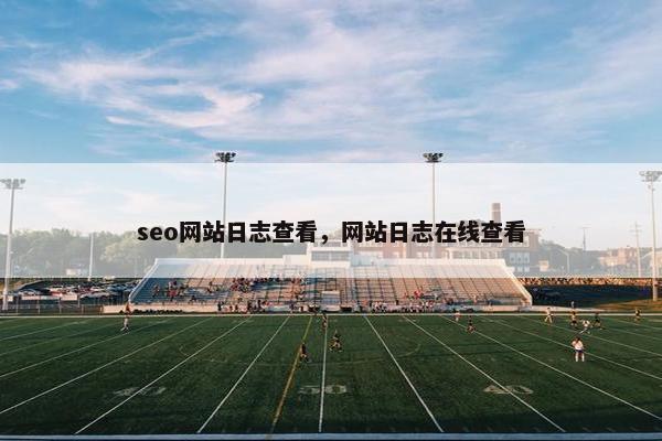 seo网站日志查看，网站日志在线查看