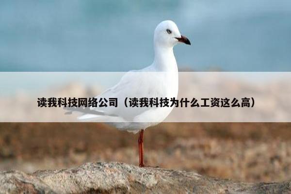 读我科技网络公司（读我科技为什么工资这么高）