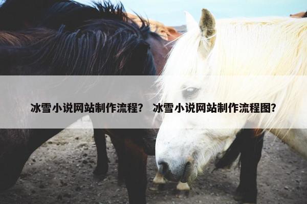 冰雪小说网站制作流程？ 冰雪小说网站制作流程图？