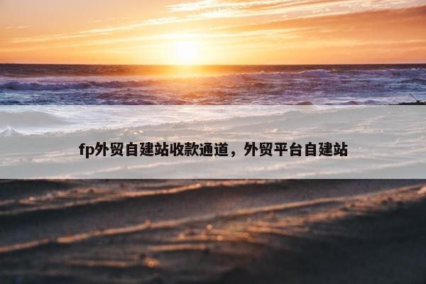 fp外贸自建站收款通道，外贸平台自建站