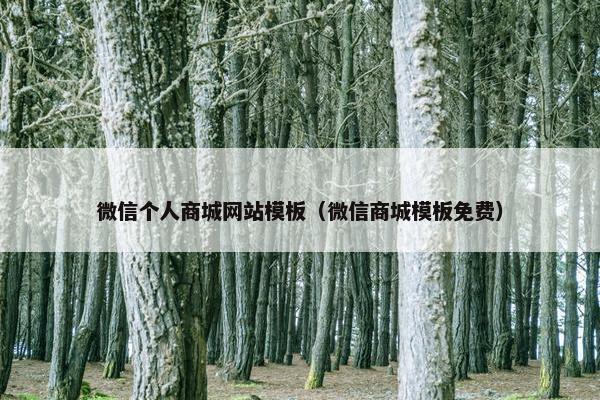微信个人商城网站模板（微信商城模板免费）