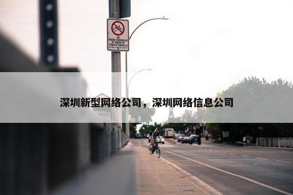 深圳新型网络公司，深圳网络信息公司