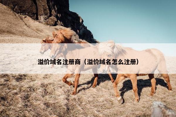 溢价域名注册商（溢价域名怎么注册）