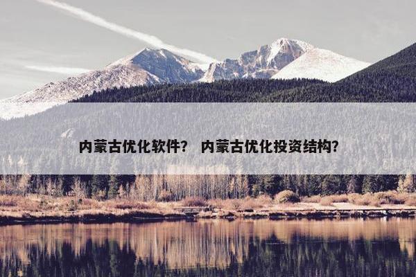 内蒙古优化软件？ 内蒙古优化投资结构？