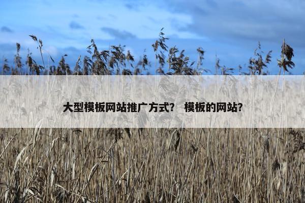 大型模板网站推广方式？ 模板的网站？