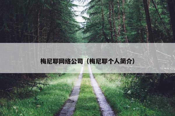 梅尼耶网络公司（梅尼耶个人简介）