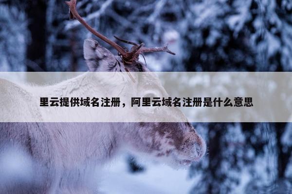 里云提供域名注册，阿里云域名注册是什么意思
