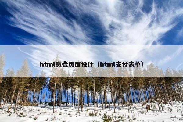 html缴费页面设计（html支付表单）
