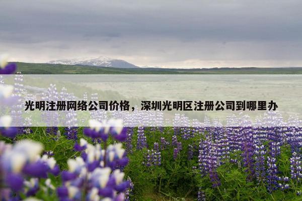 光明注册网络公司价格，深圳光明区注册公司到哪里办