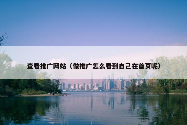 查看推广网站（做推广怎么看到自己在首页呢）