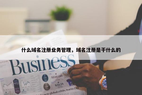 什么域名注册业务管理，域名注册是干什么的