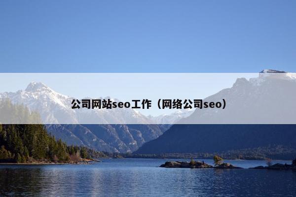 公司网站seo工作（网络公司seo）