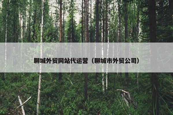 聊城外贸网站代运营（聊城市外贸公司）