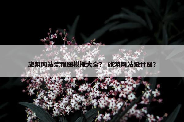 旅游网站流程图模板大全？ 旅游网站设计图？