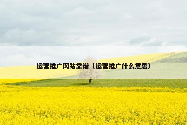 运营推广网站靠谱（运营推广什么意思）