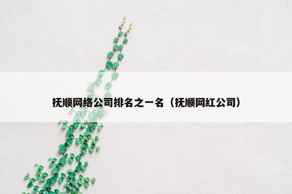 抚顺网络公司排名之一名（抚顺网红公司）