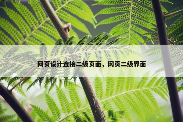 网页设计连接二级页面，网页二级界面