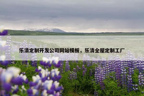 乐清定制开发公司网站模板，乐清全屋定制工厂