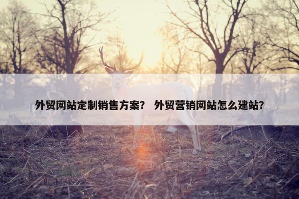 外贸网站定制销售方案？ 外贸营销网站怎么建站？