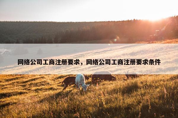 网络公司工商注册要求，网络公司工商注册要求条件