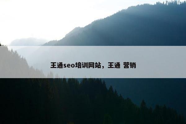王通seo培训网站，王通 营销